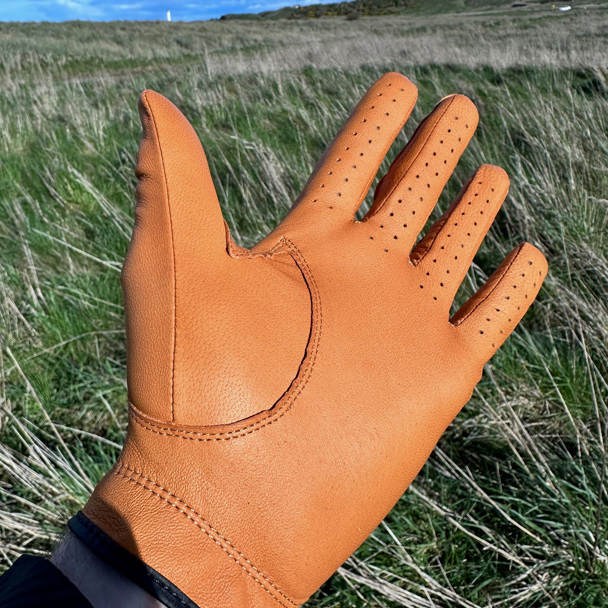 Tan Leather Golf Glove & Metal Ball Marker