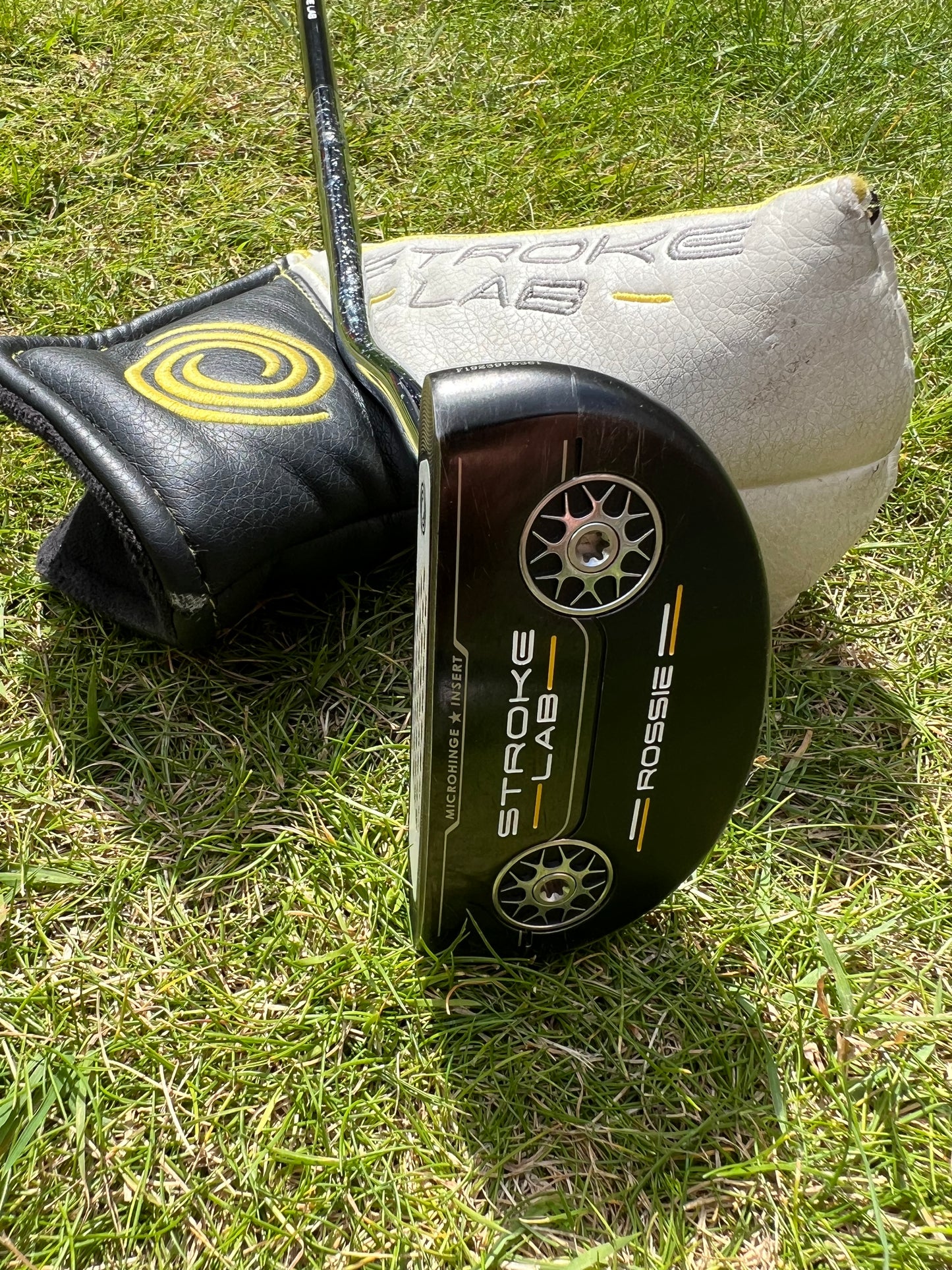 Odyssey Stroke Lab Rossie Putter