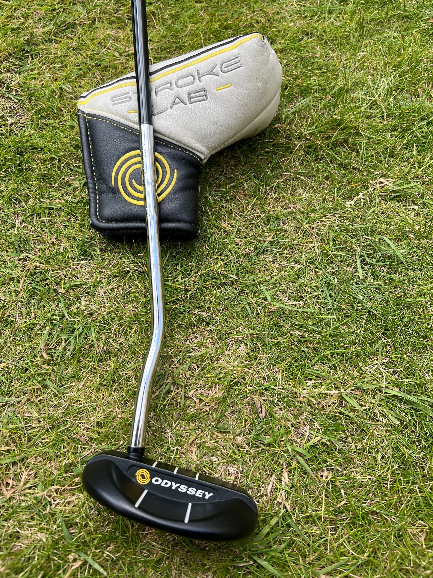 Odyssey Stroke Lab Rossie Putter