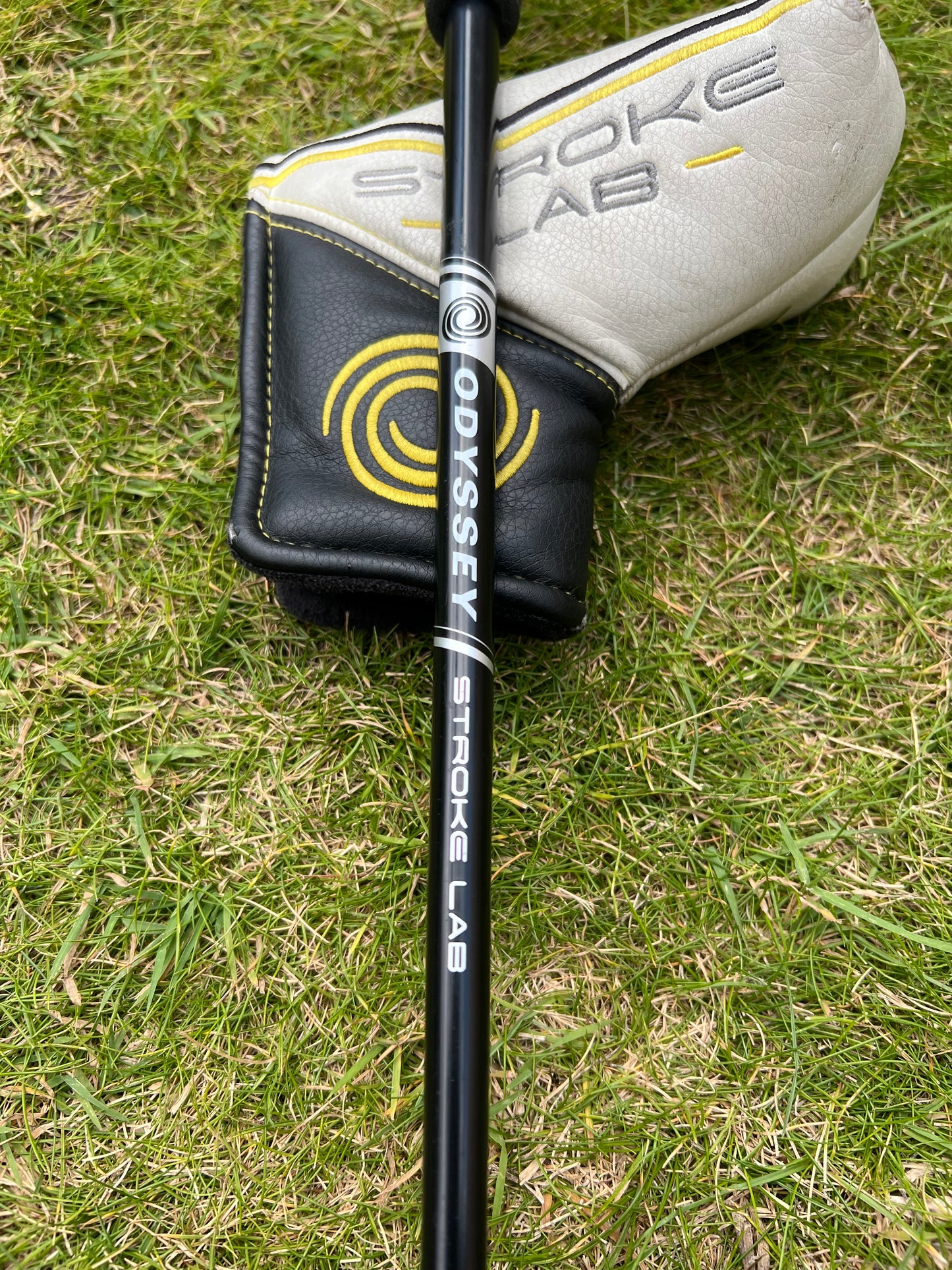Odyssey Stroke Lab Rossie Putter