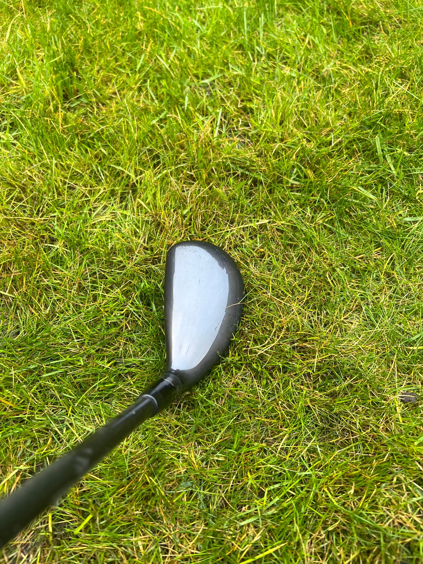 Titleist 818 H2 Hybrid (19°)